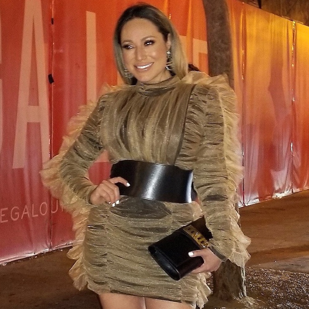 LONG SLEEVE COPPER-TAN, TULLE MINI DRESS!